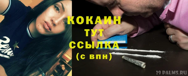 PSILOCYBIN Беломорск