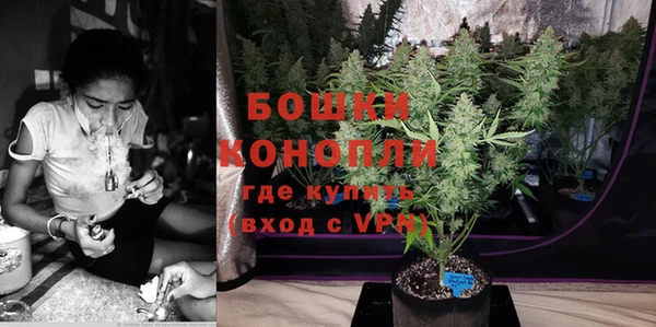 дурь Белокуриха