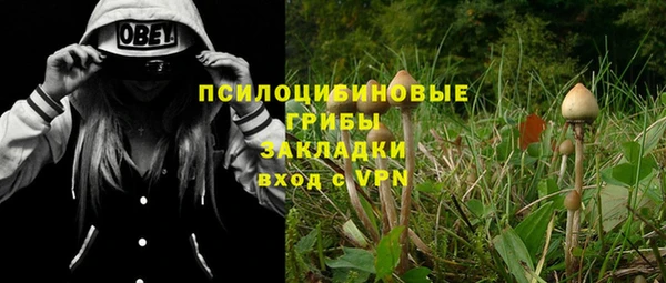PSILOCYBIN Беломорск
